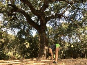 espalda estiramiento mtraining