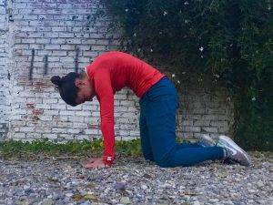 gato cat mtraining pilates minerva