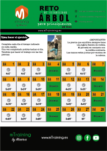 RETO arbol PRINCIPIANTES