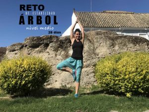 reto arbol mtraining