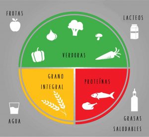 healthy eating plate