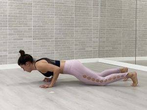 chaturanga animal flow mtraining