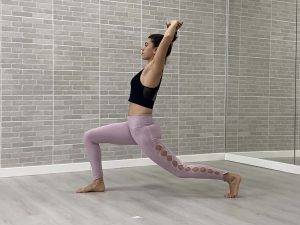 high lunge animal flow