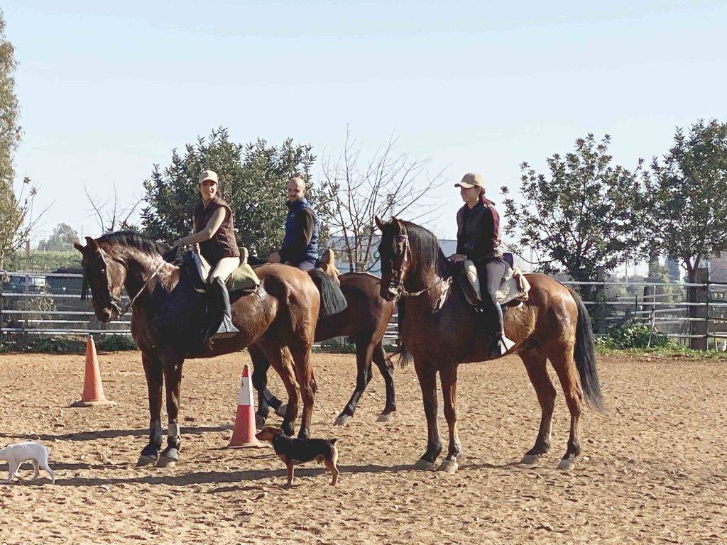 social ejercicio caballo equitación motivos